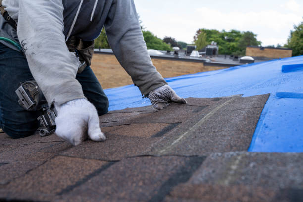 Quick and Trustworthy Emergency Roof Repair Services in The Meadows, FL